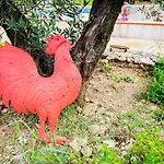 Gallo Fino - Capo Vaticano *