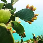 Gallo Fino Alojamento de Turismo Rural Ricadi