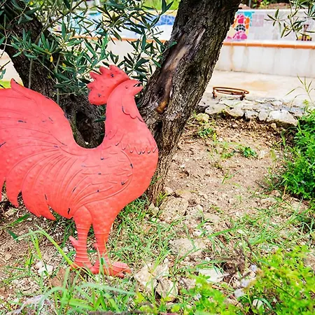 Gallo Fino - Capo Vaticano *