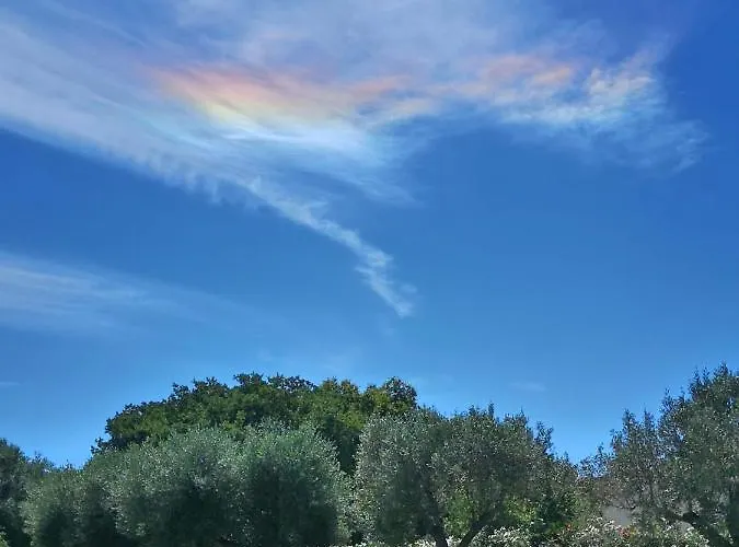 Gallo Fino Farmház Ricadi