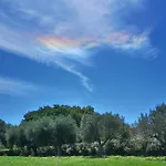 Gallo Fino - Capo Vaticano Farma Ricadi