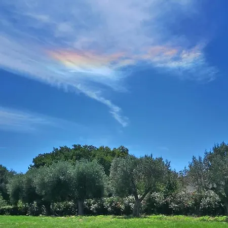 Gallo Fino Séjour à la ferme Ricadi
