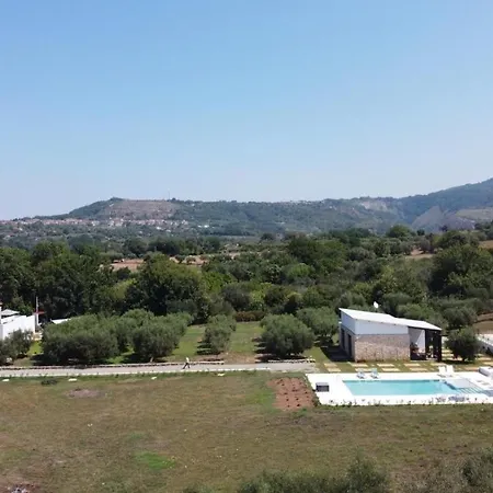 Gallo Fino Séjour à la ferme