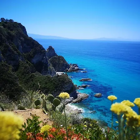 Gallo Fino - Capo Vaticano