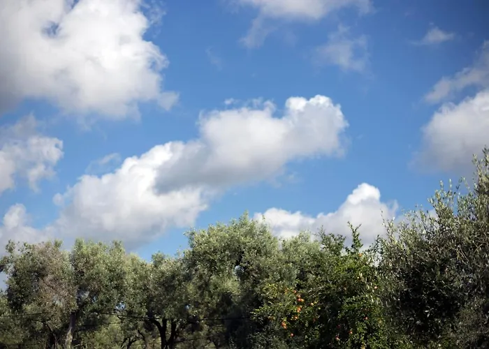 Gallo Fino בית חווה ריקאדי