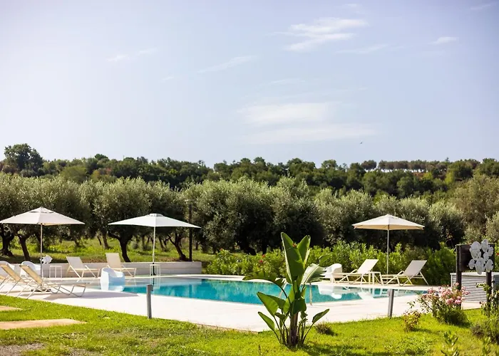 Gallo Fino ריקאדי