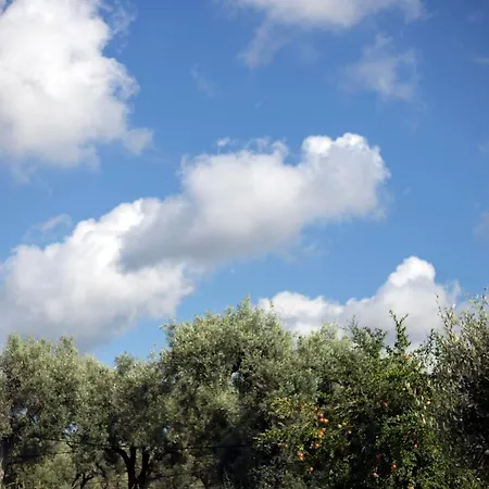Gallo Fino - Capo Vaticano Lantgård Ricadi