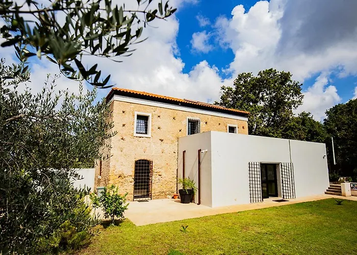 农家乐 Gallo Fino