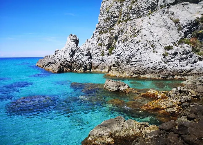 Gallo Fino 农家乐 *