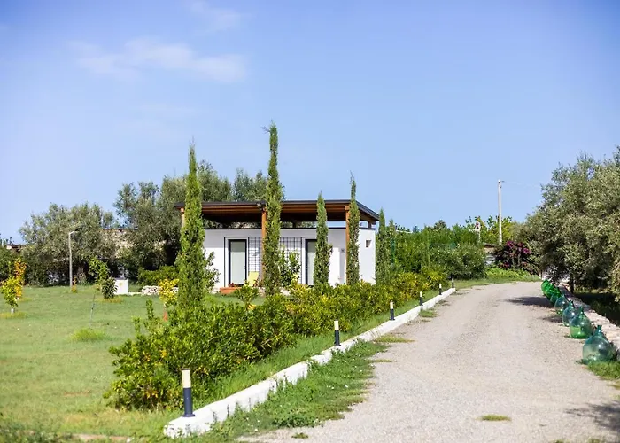 Alojamento de Turismo Rural Gallo Fino *