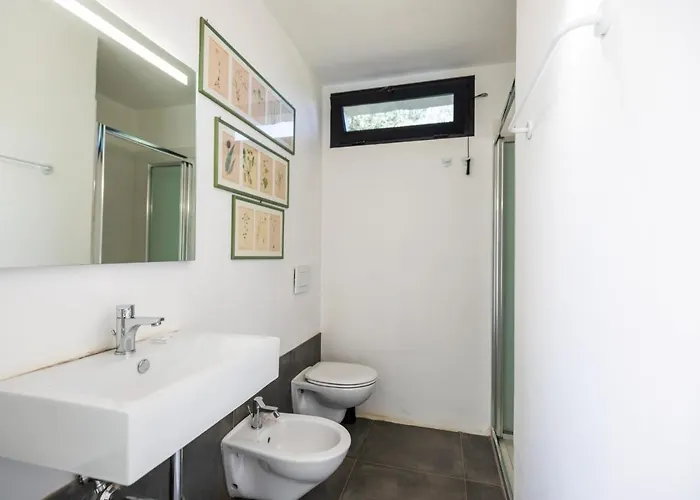 农家乐 Gallo Fino